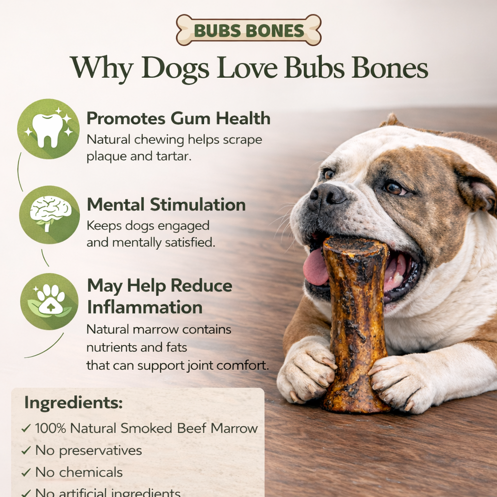 Large Smoked Beef Marrow Bone