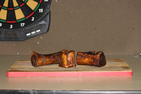 Happy dog chewing a bone