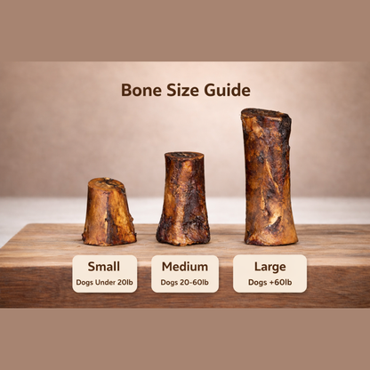 Large Smoked Beef Marrow Bone