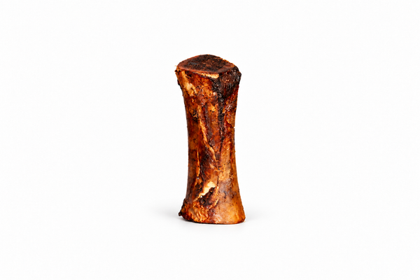 Large smoked beef marrow bone on white, with balanced framing