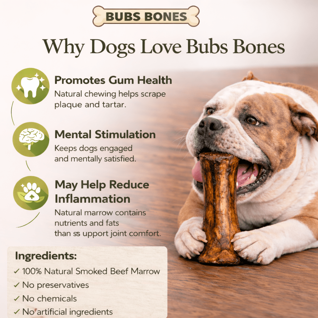 Large Smoked Beef Marrow Bone natural dog chew bone by Bubs Bones | Bubs Bones