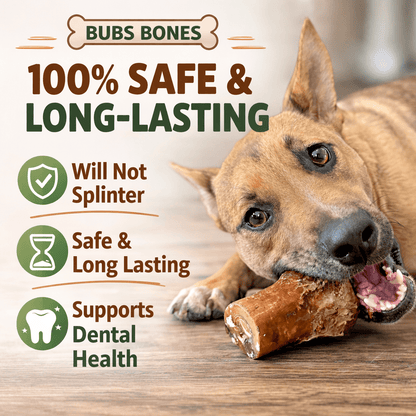 Large Smoked Beef Marrow Bone natural dog chew bone by Bubs Bones | Bubs Bones