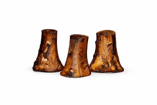 Medium Smoked Beef Marrow Bone natural dog chew bone by Bubs Bones | Bubs Bones